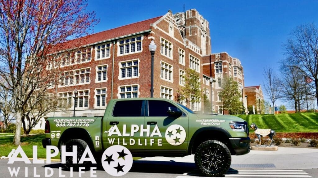Alpha Wildlife Truck